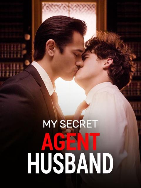 My Secret Agent Husband